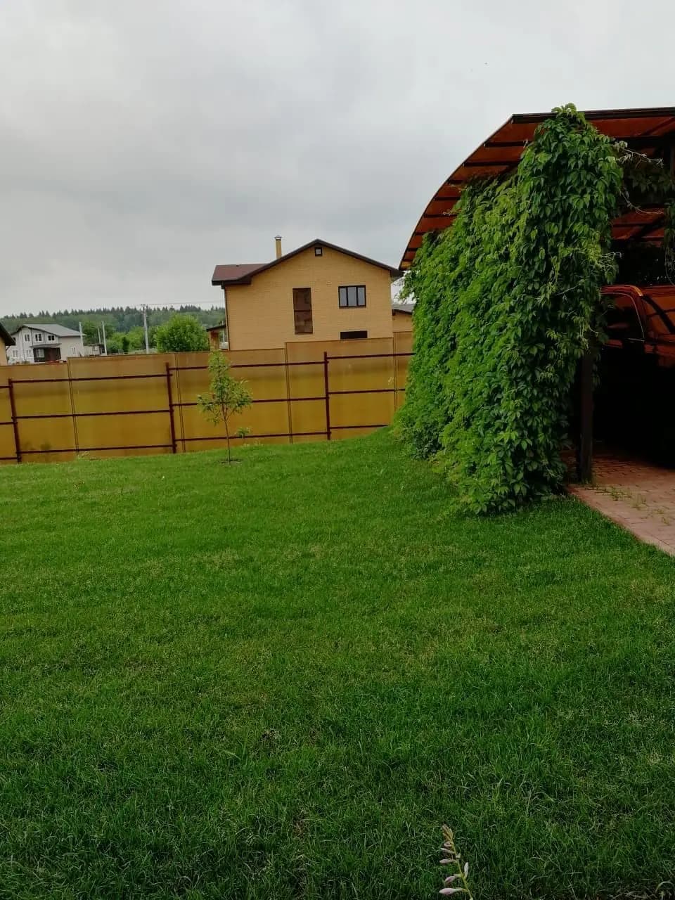 Ландшафтные работы на загородном участке 32 сотки в КП «Машки» — фото 5