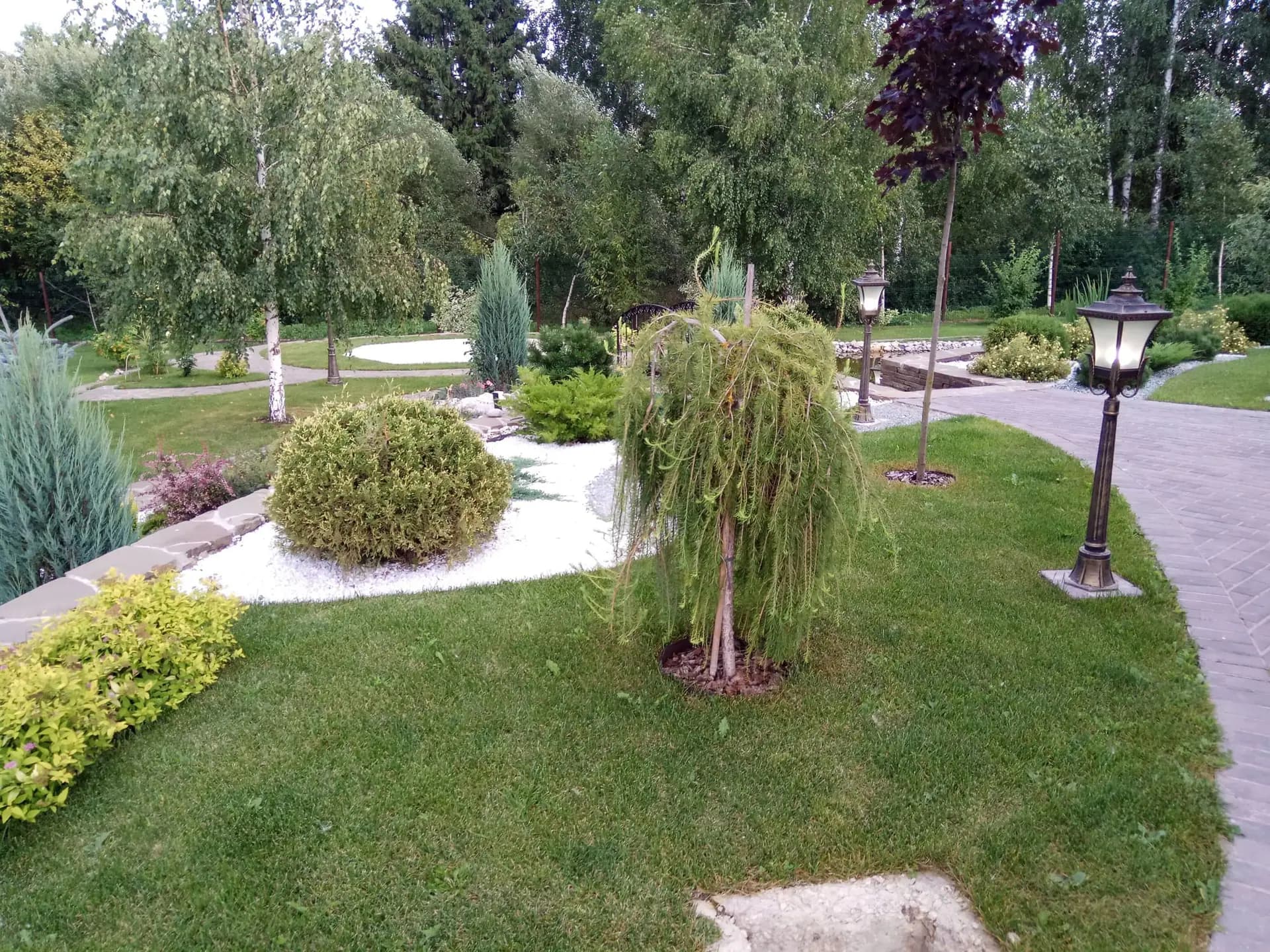 Ландшафтные работы на загородном участке 35 соток в КП «Приозерье» — фото 3