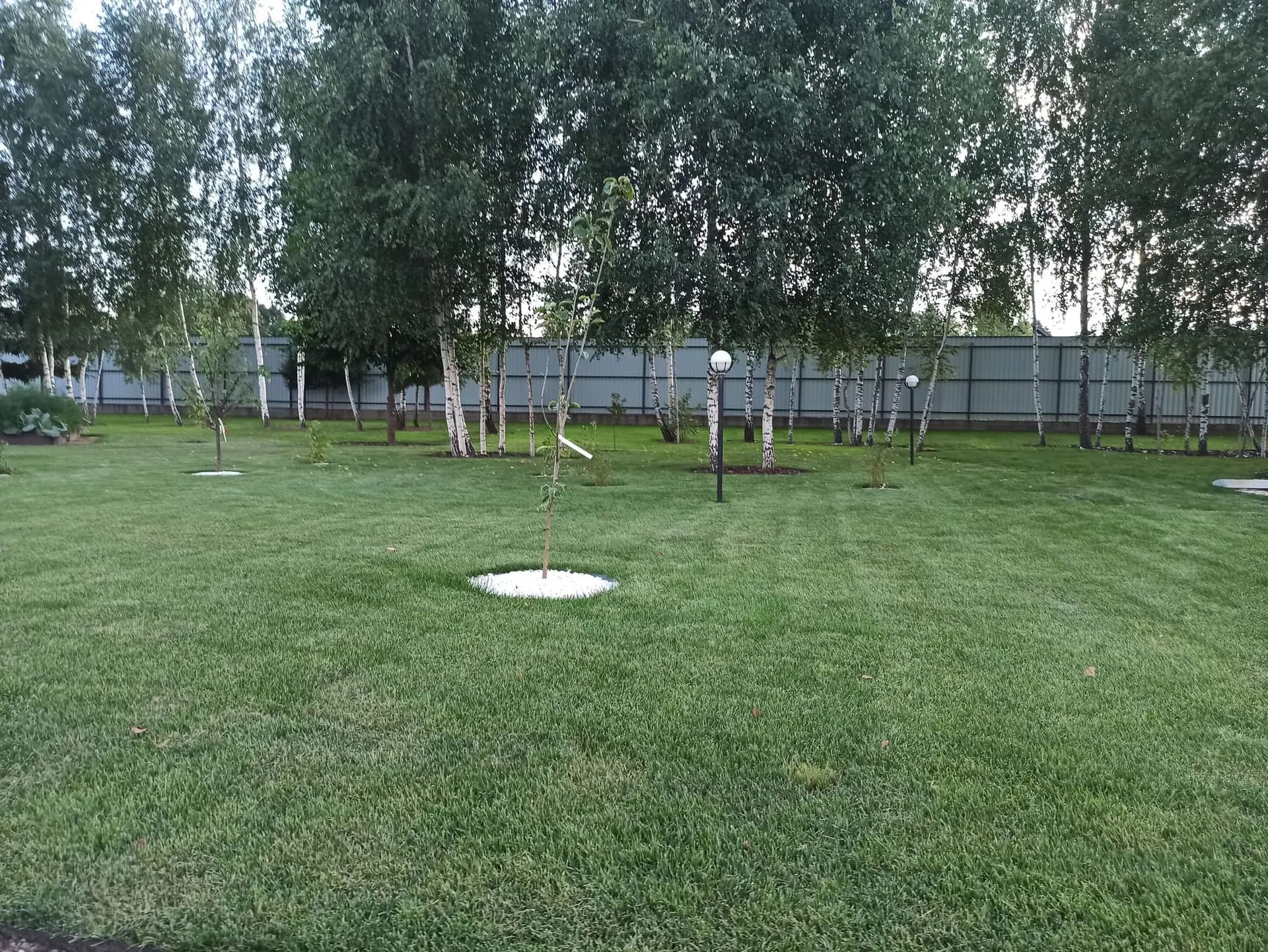 Ландшафтные работы на загородном участке 30 соток в д. Городня