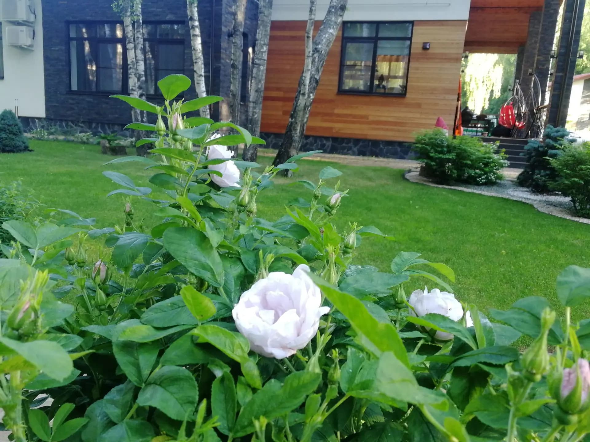 Ландшафтные работы на загородном участке 1.8 га в КП «Тимашово» — фото 11